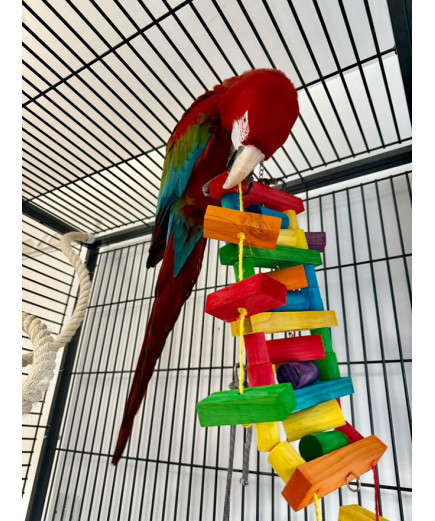 Parrot-Supplies Rainbow Wooden Parrot Fun Ladder Macaw Toy